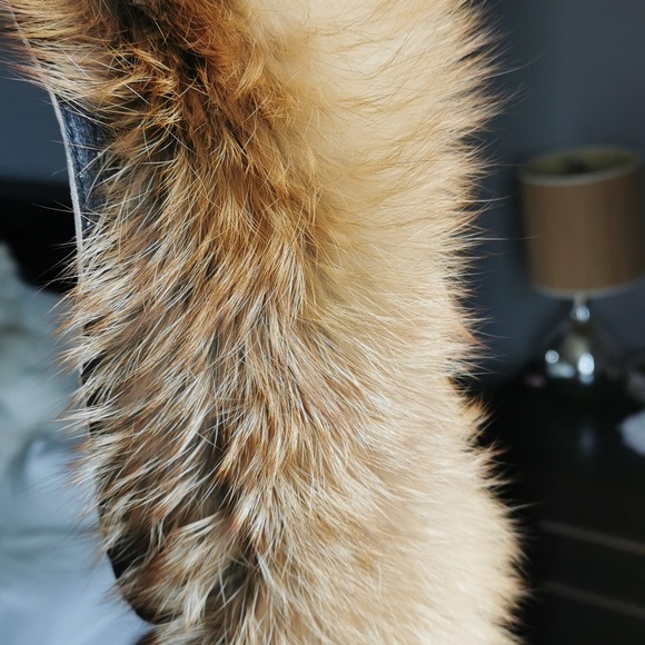 One-of-a-kind leather jacket with fur collar - Picture 13 of 15